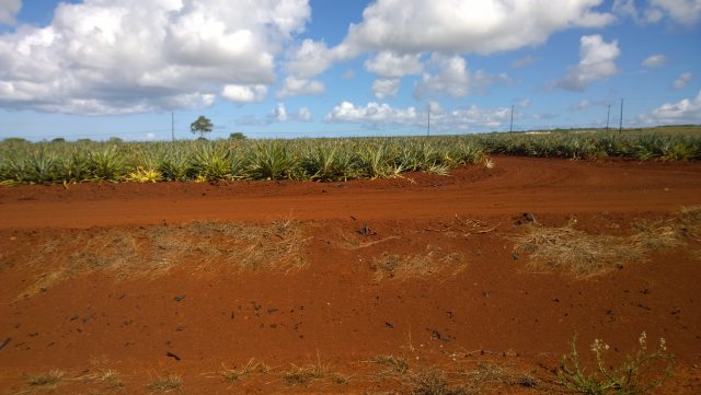 WP_20140910_10_17_18_Pro_2