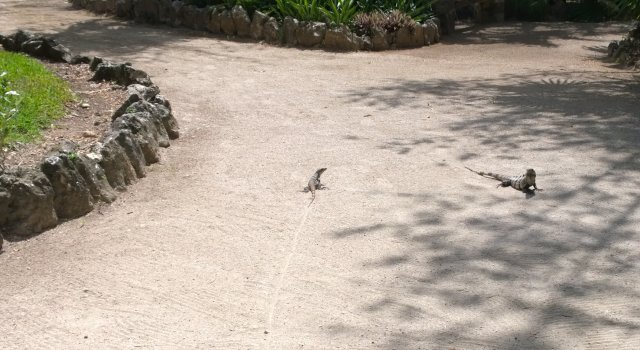 WP_20150526_10_48_51_Pro_2