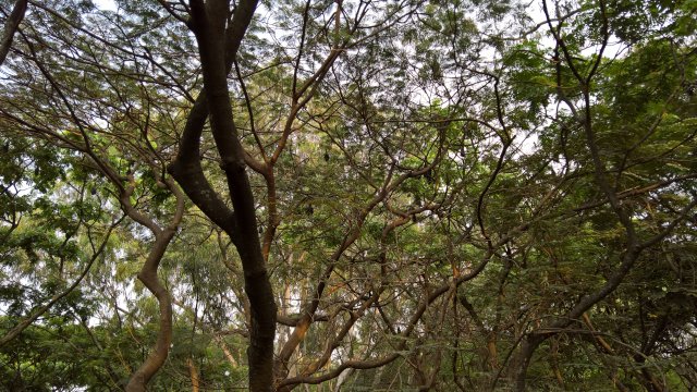 WP_20160313_16_27_41_Pro_LI