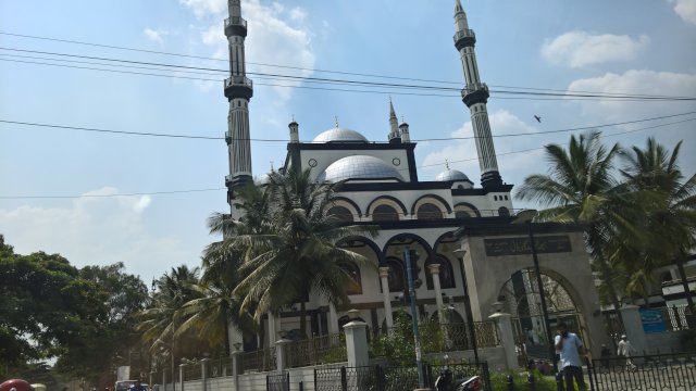 WP_20160323_13_55_11_Pro_LI