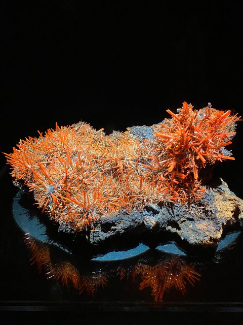 IMG_20220820_120100_2