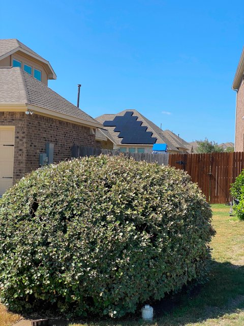 IMG_20221012_124347_2