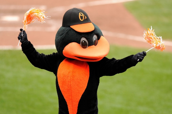 Baltimore Orioles mascot